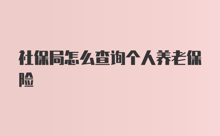 社保局怎么查询个人养老保险