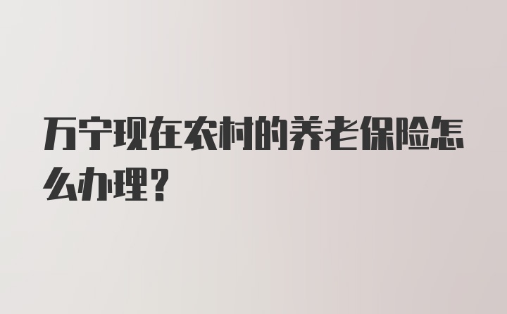 万宁现在农村的养老保险怎么办理?