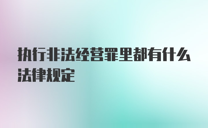 执行非法经营罪里都有什么法律规定