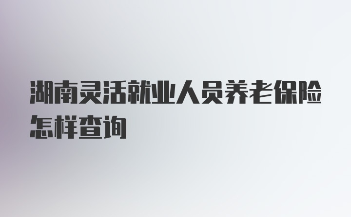 湖南灵活就业人员养老保险怎样查询