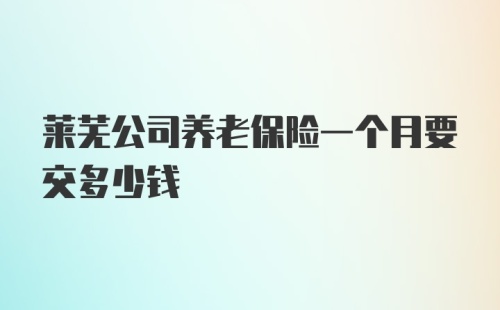 莱芜公司养老保险一个月要交多少钱