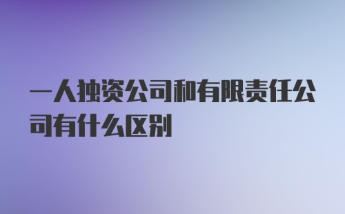 一人独资公司和有限责任公司有什么区别