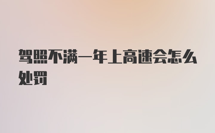 驾照不满一年上高速会怎么处罚