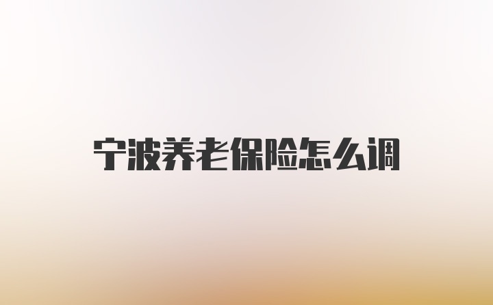 宁波养老保险怎么调