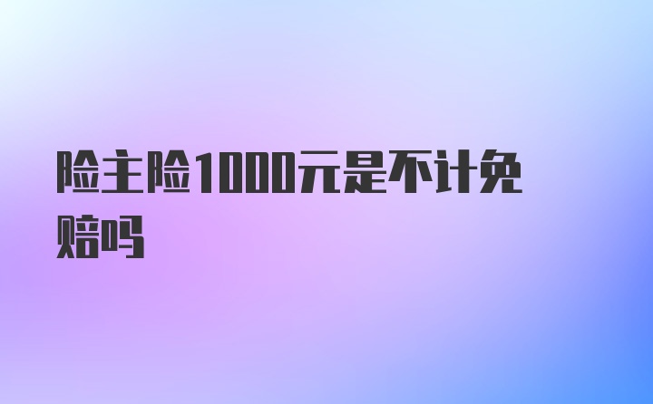 险主险1000元是不计免赔吗