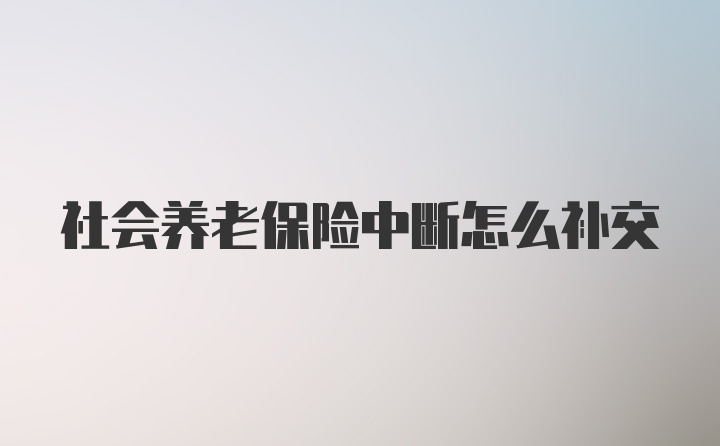 社会养老保险中断怎么补交