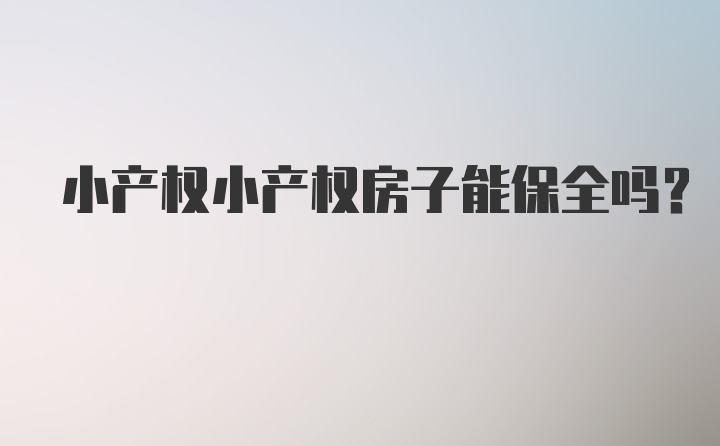 小产权小产权房子能保全吗？