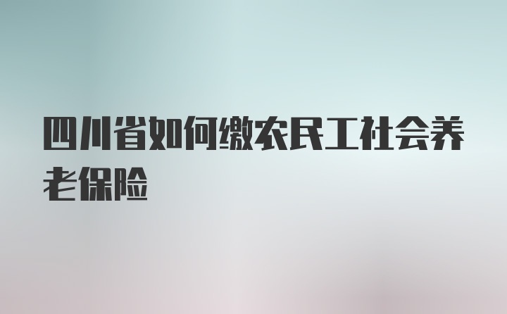 四川省如何缴农民工社会养老保险