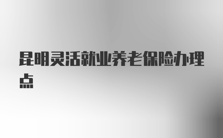 昆明灵活就业养老保险办理点