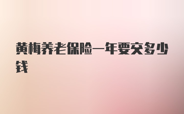 黄梅养老保险一年要交多少钱