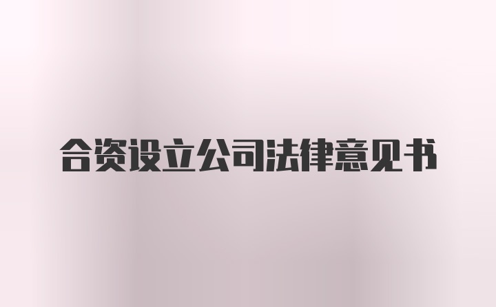 合资设立公司法律意见书