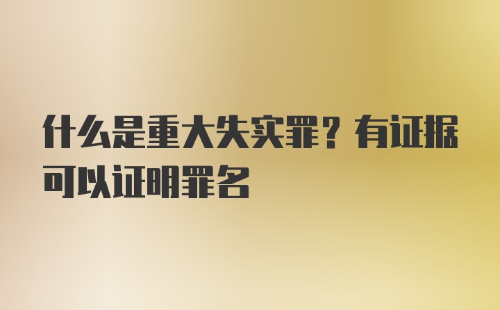 什么是重大失实罪？有证据可以证明罪名