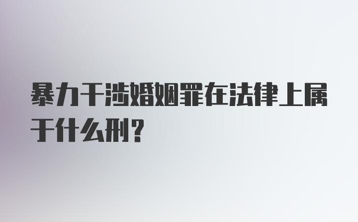 暴力干涉婚姻罪在法律上属于什么刑？