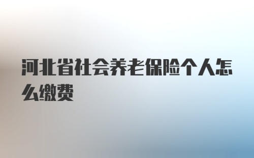 河北省社会养老保险个人怎么缴费