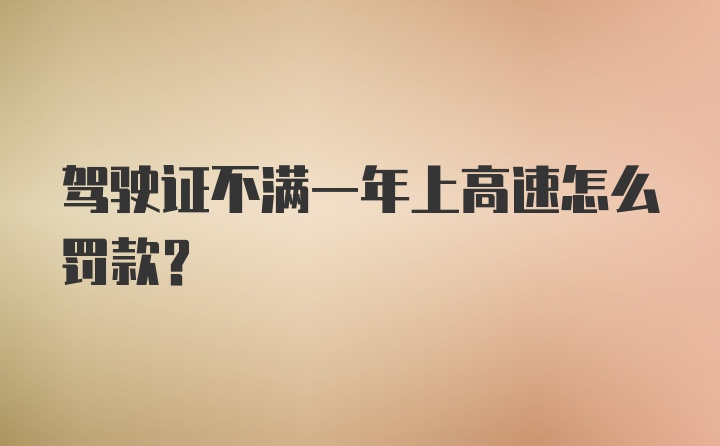 驾驶证不满一年上高速怎么罚款?