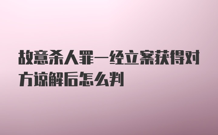 故意杀人罪一经立案获得对方谅解后怎么判