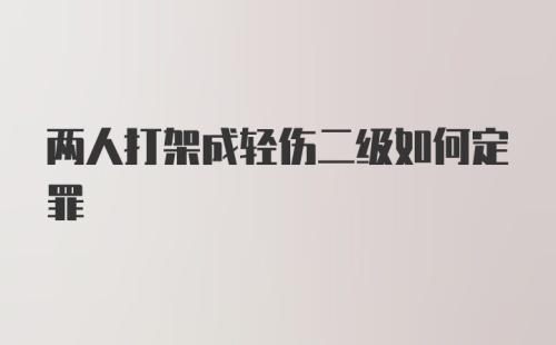 两人打架成轻伤二级如何定罪