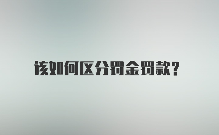 该如何区分罚金罚款?