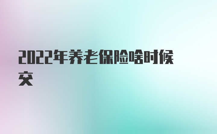 2022年养老保险啥时候交