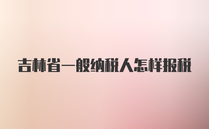 吉林省一般纳税人怎样报税