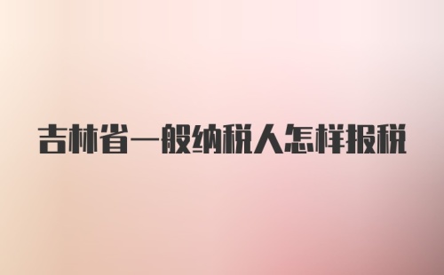 吉林省一般纳税人怎样报税