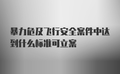 暴力危及飞行安全案件中达到什么标准可立案