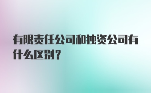 有限责任公司和独资公司有什么区别？