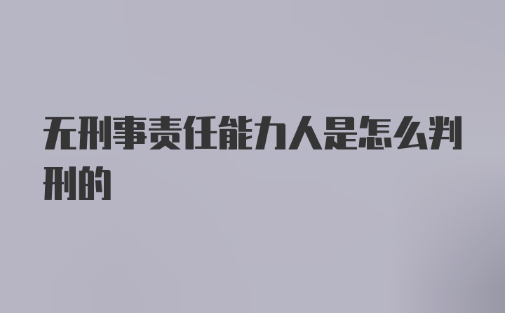 无刑事责任能力人是怎么判刑的