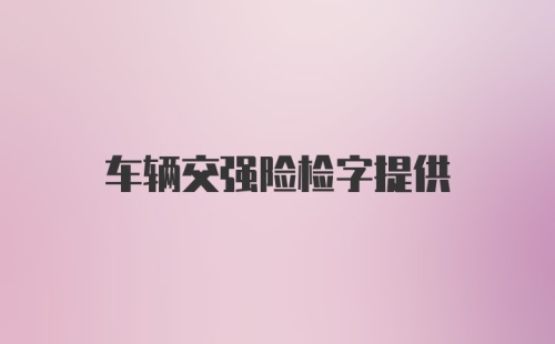 车辆交强险检字提供