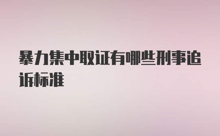 暴力集中取证有哪些刑事追诉标准