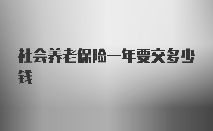 社会养老保险一年要交多少钱