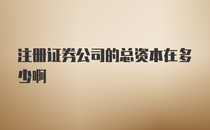 注册证券公司的总资本在多少啊