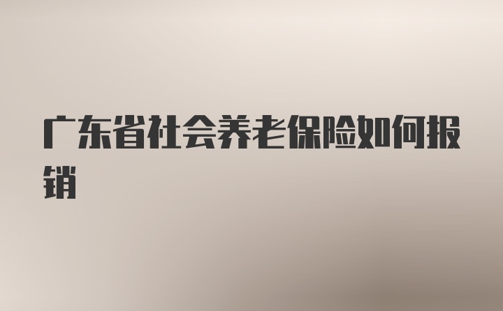 广东省社会养老保险如何报销