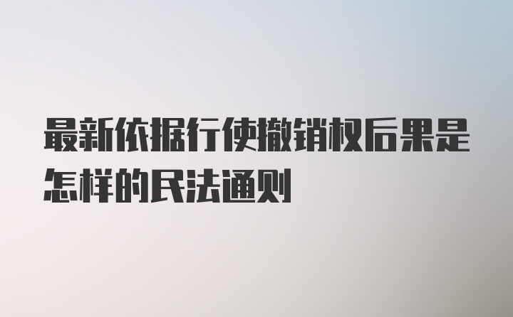 最新依据行使撤销权后果是怎样的民法通则