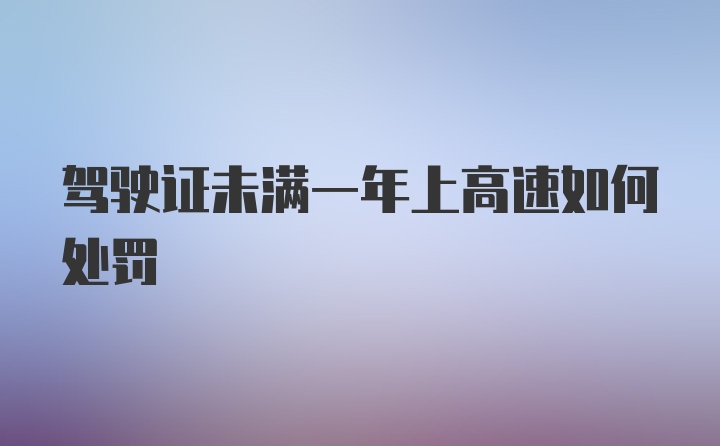 驾驶证未满一年上高速如何处罚