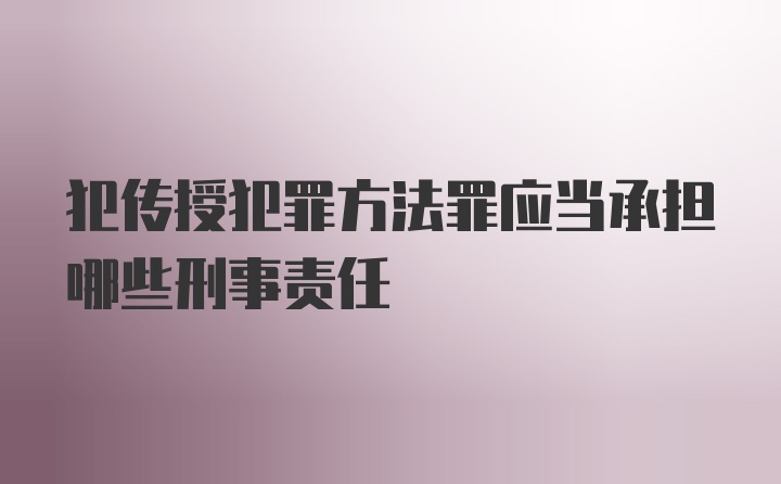 犯传授犯罪方法罪应当承担哪些刑事责任