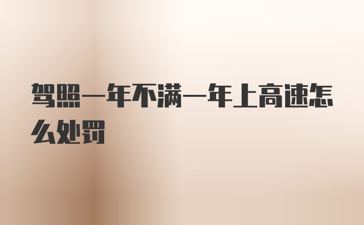 驾照一年不满一年上高速怎么处罚