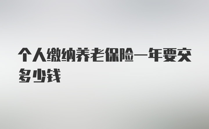 个人缴纳养老保险一年要交多少钱