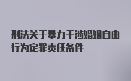 刑法关于暴力干涉婚姻自由行为定罪责任条件