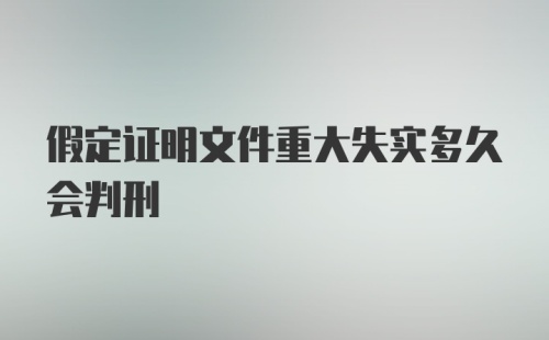 假定证明文件重大失实多久会判刑