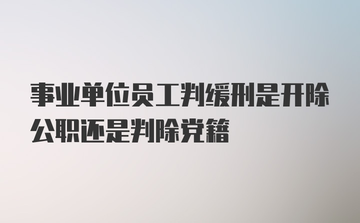 事业单位员工判缓刑是开除公职还是判除党籍