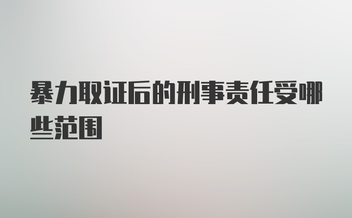 暴力取证后的刑事责任受哪些范围