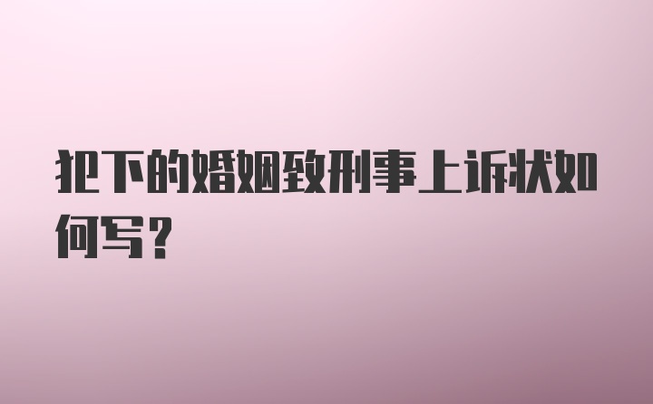 犯下的婚姻致刑事上诉状如何写？