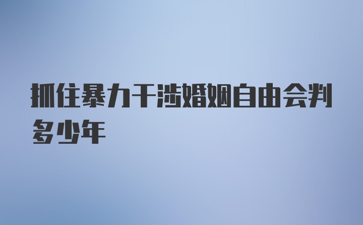 抓住暴力干涉婚姻自由会判多少年