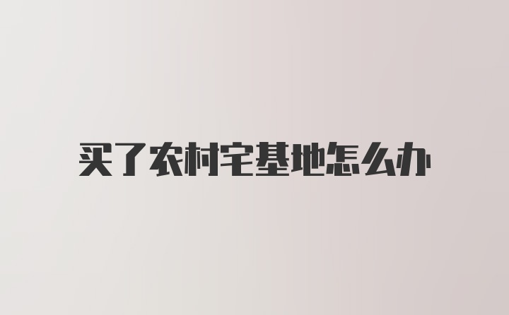 买了农村宅基地怎么办