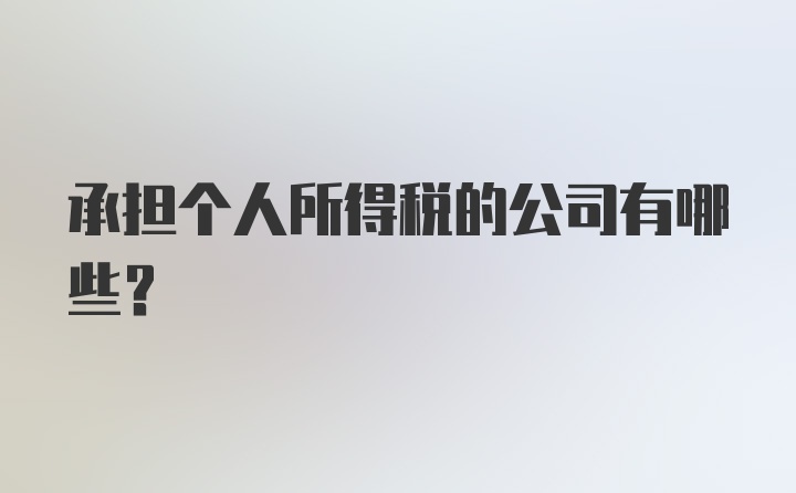 承担个人所得税的公司有哪些？