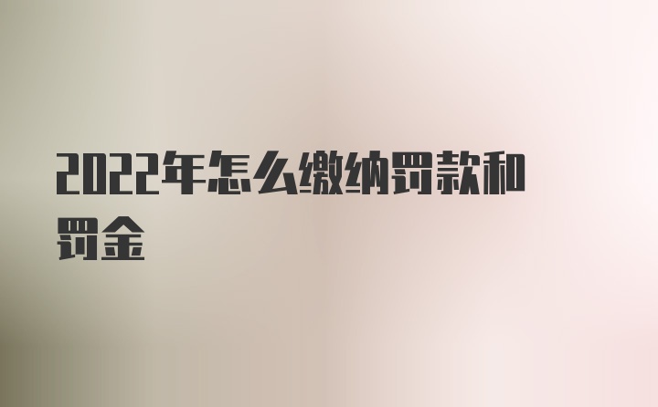 2022年怎么缴纳罚款和罚金