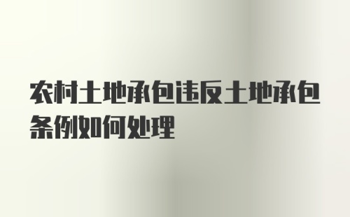 农村土地承包违反土地承包条例如何处理