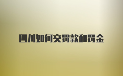 四川如何交罚款和罚金