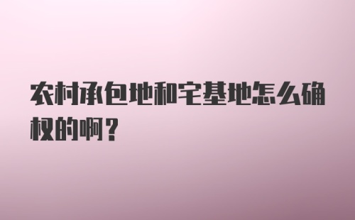 农村承包地和宅基地怎么确权的啊？